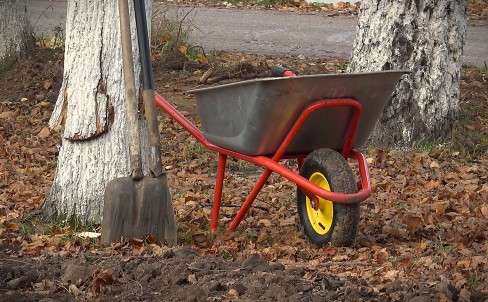 Молодежные инициативы в Бабынино- посадка деревьев